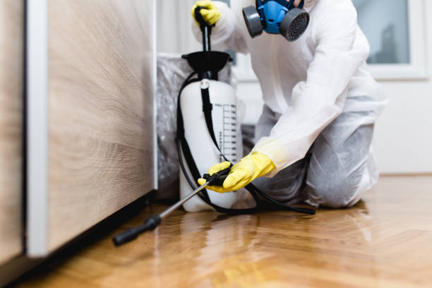 Best Pest Control for Businesses  in Macon, GA