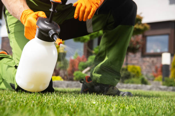 Reliable Macon, GA Pest Control Solutions