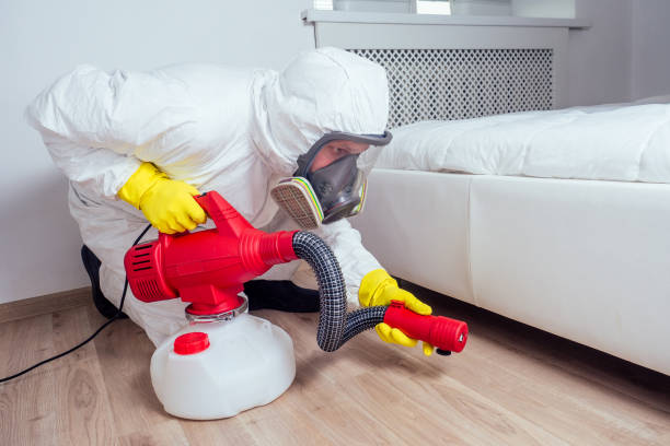 Best Flea Control Services  in Macon, GA