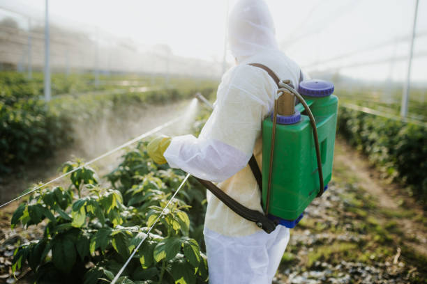 Insect Control in Macon, GA